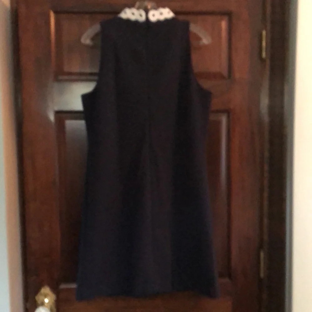 NWT Lilly Pulitzer calista shift dress. Large. The perfect classic dress! - Picture 2 of 7